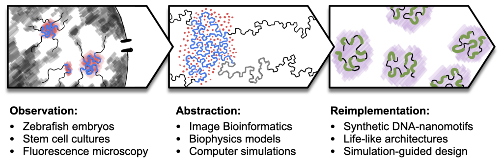 ResearchOverview_Nov2023_Cropped-1024x329