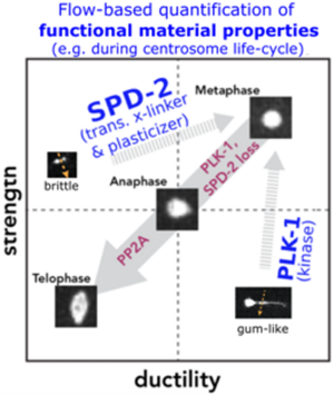 Figure2_FLUCS_flow_bb0353f093