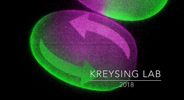 Video summarizing Focused Light induced Cytoplasmic Streaming (FLUCS)